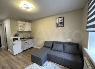 Продам квартиру студию, 16.6 м2, Москва, аллея Первой Маёвки, 15с1, район Вешняки