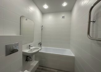 Продажа 1-комнатной квартиры, 28 м2, поселок Ласкино, Осенняя улица, 2