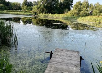 Продам земельный участок, 16 сот., деревня Редино