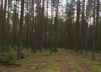 Продам дом, 66.2 м2, деревня Большое Заборовье