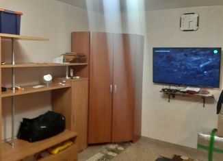 Продажа однокомнатной квартиры, 32.5 м2, Салехард, Ямальская улица, 13А