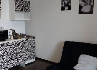 Аренда квартиры студии, 26 м2, поселок Бугры, Воронцовский бульвар, 5к1