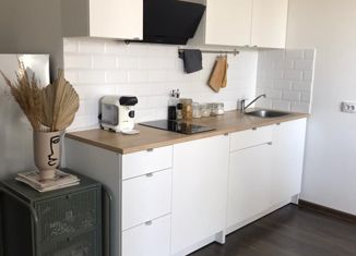 Продается квартира студия, 24.3 м2, Санкт-Петербург, Октябрьская набережная, 34к2, метро Елизаровская