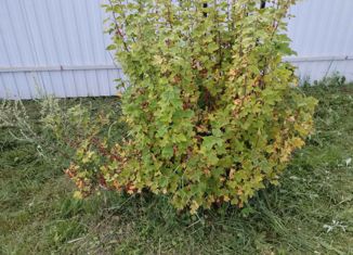 Продаю земельный участок, 7 сот., село Стромынь