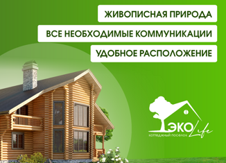 Продам участок, 10 сот., село Петровское, улица Мишанова