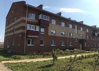 Продается квартира студия, 24.4 м2, Кудымкар, улица Виталия Онькова, 24А