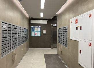 Продаю квартиру студию, 29 м2, Санкт-Петербург, Среднерогатская улица, 13к1, муниципальный округ Звёздное