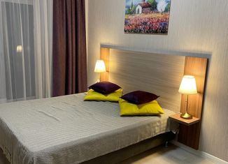 Квартира на продажу студия, 23 м2, Санкт-Петербург, Пулковское шоссе, 14с6, метро Звёздная