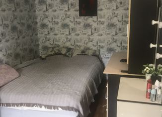 Продам 2-ком. квартиру, 43.5 м2, деревня Родина, Набережная улица, 8