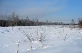 Продажа земельного участка, 11 сот., село Совхозный