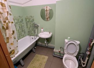 Сдается квартира студия, 25 м2, Красноярск, улица Петра Подзолкова, 5А, ЖК Светлый