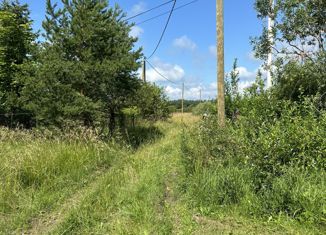 Продам земельный участок, 10 сот., деревня Трубников Бор, улица Мира