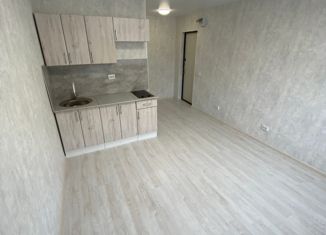 Продаю квартиру студию, 18.3 м2, Нижний Новгород, Перекопская улица, 8, Ленинский район