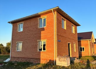 Продажа дома, 135 м2, село Дружино, Рябиновая улица, 34