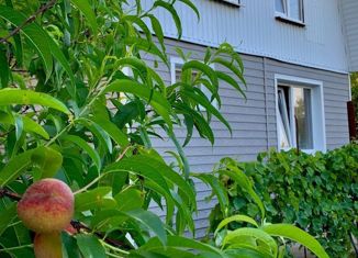 Продаю дом, 120 м2, НСТ Степное, Мичуринская улица, 10