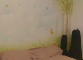 Продаю однокомнатную квартиру, 30.4 м2, Череповец, улица М. Горького, 43