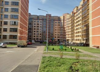 Продается квартира студия, 18 м2, деревня Ивановское, улица Семёна Гордого, 8