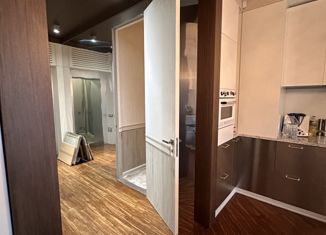 2-ком. квартира на продажу, 100 м2, Нижний Новгород, Холодный переулок, 10, Холодный переулок