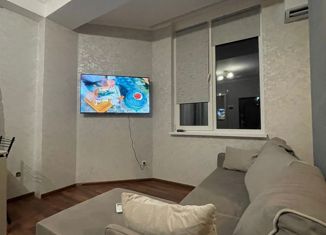 Квартира в аренду студия, 25 м2, Сочи, улица Чайкиной, 19/3, микрорайон Соболевка