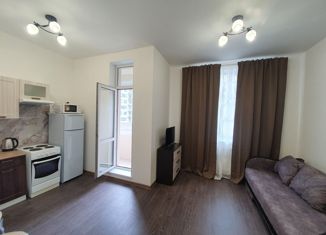 Квартира в аренду студия, 26 м2, Мурино, Ручьёвский проспект, 13, ЖК Айди Мурино