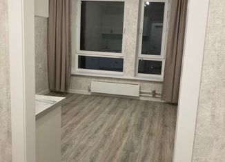 Продажа квартиры студии, 20 м2, Москва, Салтыковская улица, 6/2к3, Салтыковская улица