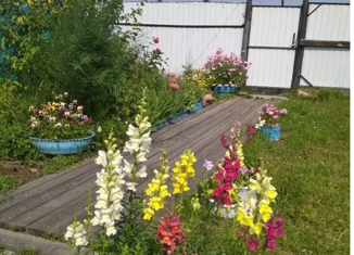 Продам дом, 48 м2, поселок Вершина, Новая улица, 20