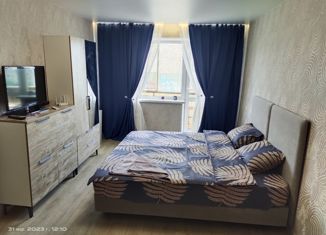 Сдается 1-ком. квартира, 30 м2, Озёрск, улица Семёнова, 16