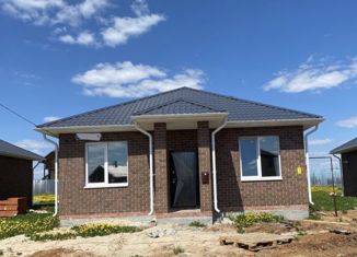 Продается дом, 100 м2, деревня Чернышевка