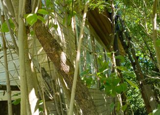 Продается дом, 70 м2, деревня Мочала, Центральная улица