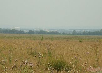 Продам земельный участок, 4200 сот., деревня Суздалы