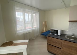 Сдается квартира студия, 38 м2, Новосибирск, улица Дуси Ковальчук, 238