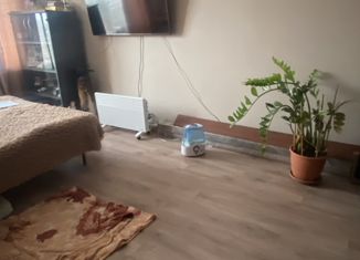 Однокомнатная квартира на продажу, 36 м2, Верхняя Пышма, улица Петрова, 9Б