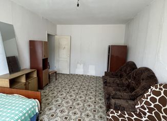 Сдается 1-ком. квартира, 36 м2, Димитровград, улица Чкалова, 56