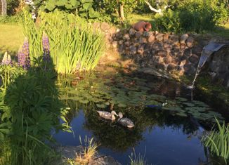 Сдаю дом, 600 м2, деревня Брянцево, Зелёная улица