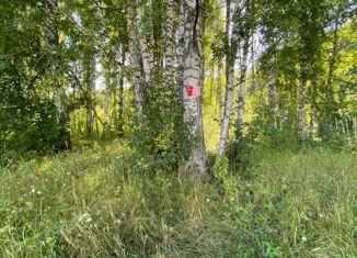 Продаю участок, 40 сот., село Ая, Ключевая улица