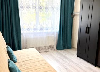 Продажа однокомнатной квартиры, 34.1 м2, деревня Царёво, улица Петра Гаврилова, 38