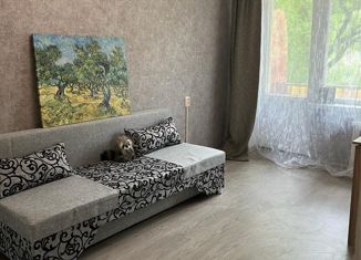 Продаю 1-ком. квартиру, 30 м2, Москва, Новая улица, 22, Новая улица