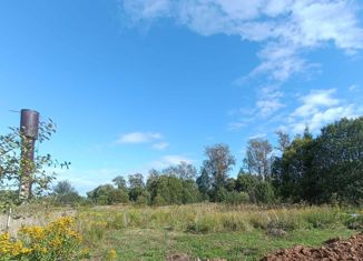 Продаю земельный участок, 15 сот., село Никольское, Центральная улица, 4