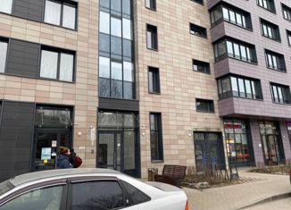 Продается 2-комнатная квартира, 50 м2, Санкт-Петербург, Торфяная дорога, 17к1, ЖК Артлайн