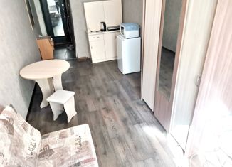 Продам однокомнатную квартиру, 18 м2, Артём, улица Кирова, 72/1