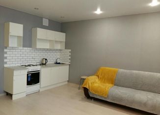 Аренда однокомнатной квартиры, 37 м2, село Габишево, Уютная улица, 3