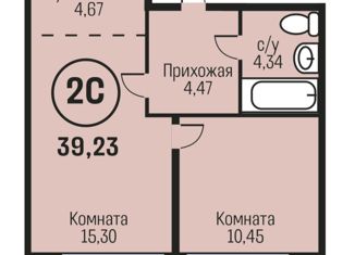 2-ком. квартира на продажу, 39.23 м2, рабочий поселок Южный, Южный тракт, 15к2