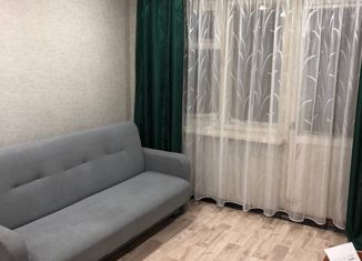 Продается 1-ком. квартира, 30.8 м2, Нижний Новгород, Южное шоссе, 50, метро Парк Культуры