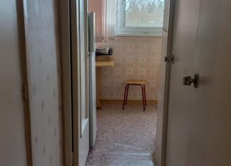 2-ком. квартира на продажу, 47 м2, Сосновый Бор, Молодёжная улица, 1