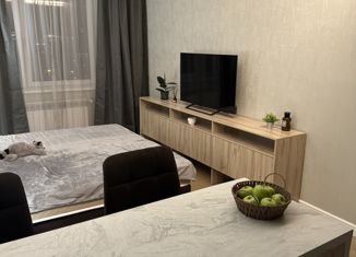 Сдаю 1-комнатную квартиру, 27 м2, Красноярск, улица Партизана Железняка, 38