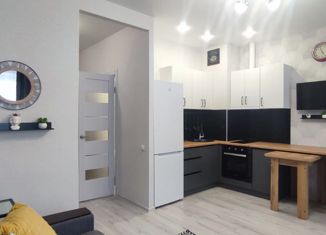 Продам квартиру студию, 27 м2, Ростов-на-Дону, ЖК Пятый Элемент, улица Ерёменко, 110с1