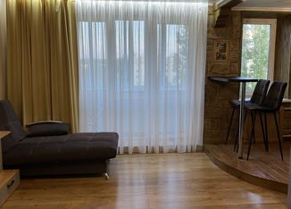 Сдам в аренду квартиру студию, 32.4 м2, Орловская область, улица Мира, 146