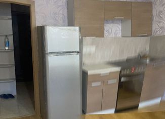 Квартира на продажу студия, 21.5 м2, Санкт-Петербург, улица Коммунаров, 190, муниципальный округ Горелово