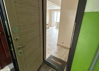Продажа 1-ком. квартиры, 30.1 м2, Ефремов, улица Короткова, 7