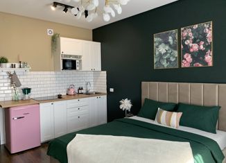 Продажа квартиры студии, 25.7 м2, Санкт-Петербург, метро Старая Деревня, Торфяная дорога, 15к3